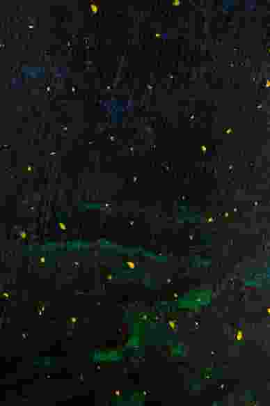 This image for photography